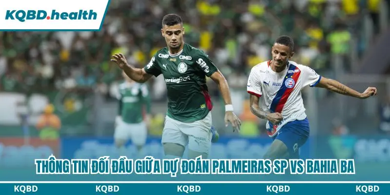 Thống kê chi tiết đối đầu gần đây giữa Palmeiras và Bahia 